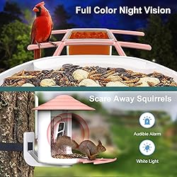 birdsnap® TUC- Smart Bird Feeder with Camera+Solar