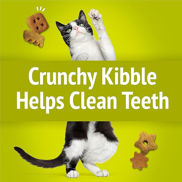 PURINA FRISKIES PARTY MIX MORNING MUNCH CRUNCH CAT TREATS – 2.1 OZ. POUCH