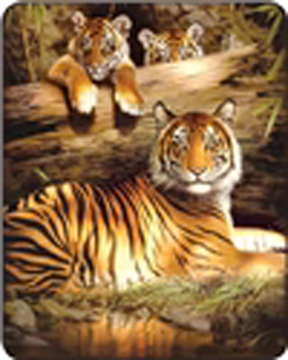 Amazon.com: Yellow Tigers Medium Weight Faux FurTM Blanket: Home & Kitchen