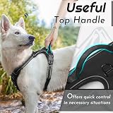 Eagloo Dog Harness Front Back Clips Large No Pull Adjustable Reflective view 5