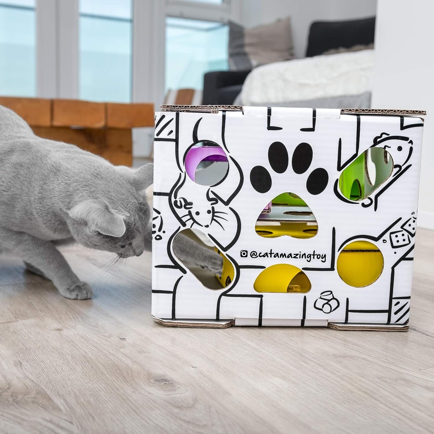 Cat Amazing Sliders – Interactive Treat Puzzle Cat Toy – Active Food Puzzle Feeder : Pet Supplies