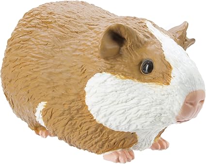 guinea pig toys amazon
