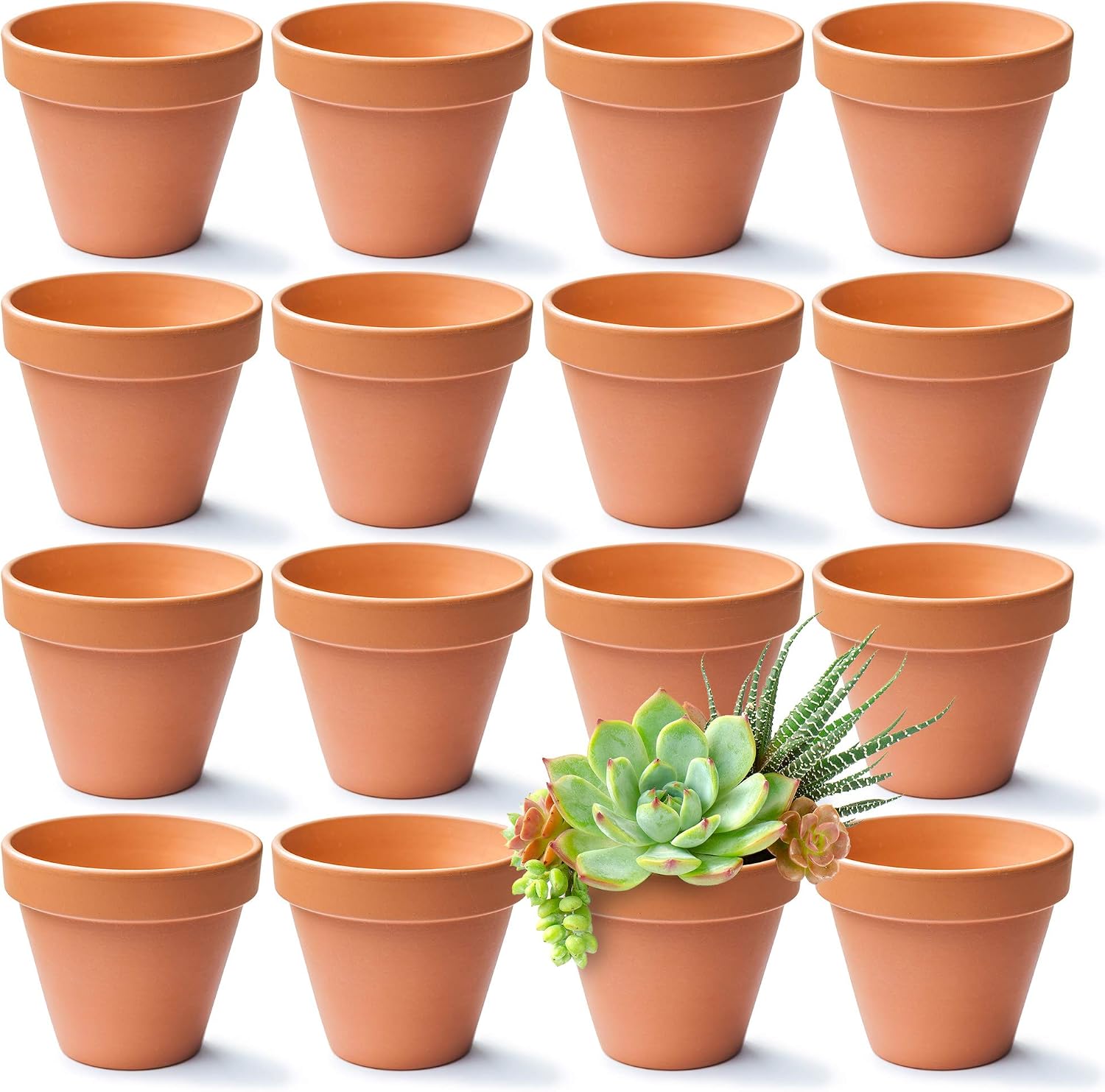 Green Thumbz Terracotta Plant Pots, 8cm x 16 Pack Small Plant Pots, Multi Purpose Mini Terracotta Pots for Plants Flowers