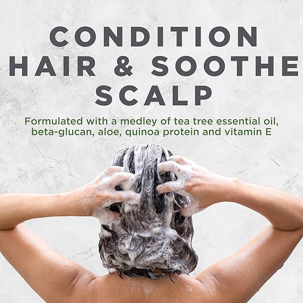 AVALON ORGANICS SCALP TREATMENT TEA TREE CONDITIONER, ENCOURAGES SCALP WELL-BEING AND LEAVES HAIR SOFT, 11 FLUID OUNCES