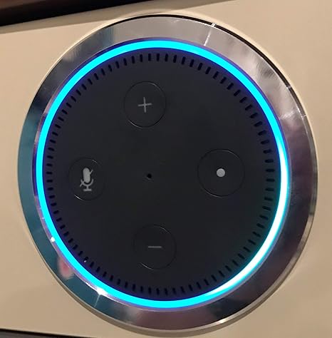 amazon echo dot alternative