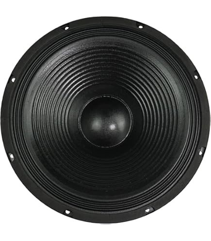 Amazon.com: RCF LF18N401 18-inch Woofer with Neo Transducer Lowest