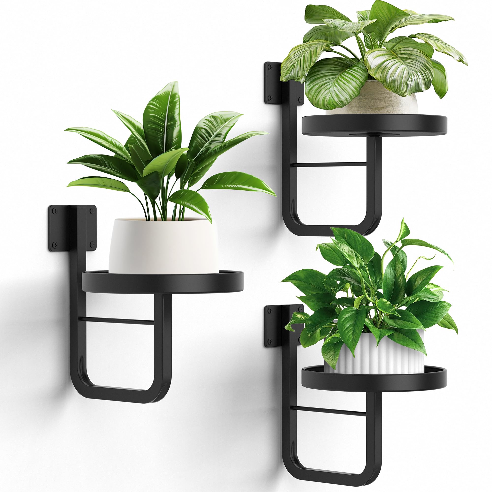 Photo 1 of JOPBENG Wall Plant Holder, 7.9 Inch Hanging Plant Holder Wall Planters for Indoor Plants, Wall Mounted Plant Holder Window Plant Shelves for Outdoor Metal Wall Planter Black 3Pcs