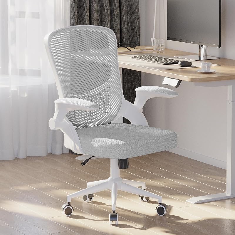 nasPaluro Ergonomic Computer Desk Chair with Flip-up Armrests Grey