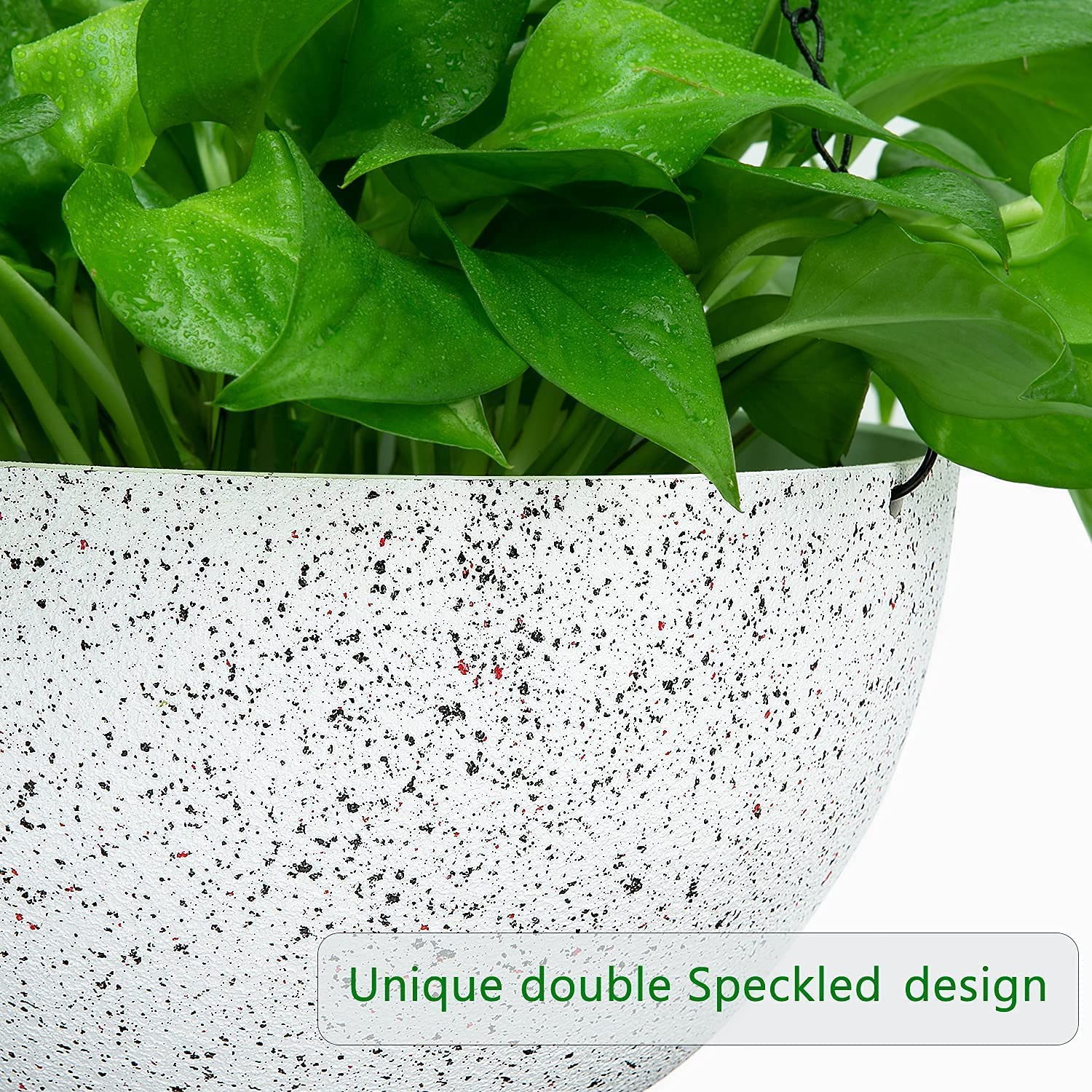 View 2
