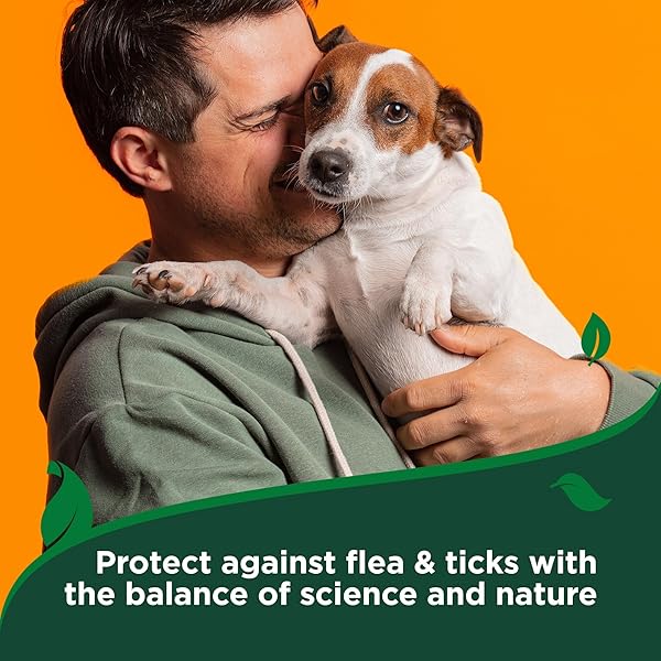 VET’S BEST FLEA AND TICK ADVANCED STRENGTH DOG SHAMPOO – DOG FLEA AND TICK TREATMENT – PLANT-BASED FORMULA – CERTIFIED NATURAL OILS – 12 OZ