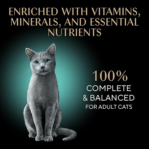 SHEBA PERFECT PORTIONS WET CAT FOOD PATE, SAVORY CHICKEN ENTREE, ROASTED TURKEY ENTREE, AND TENDER BEEF ENTREE VARIETY PACK, 2.6 OZ. TWIN PACK TRAYS (24 COUNT, 48 SERVINGS)