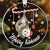 TEEBIM Opossum Ornament - Opossum Christmas Ornaments - Opossums Gifts for Women, Men - Cute Animals Opossums Lovers Gifts - Acrylic Christmas Ornament 2025