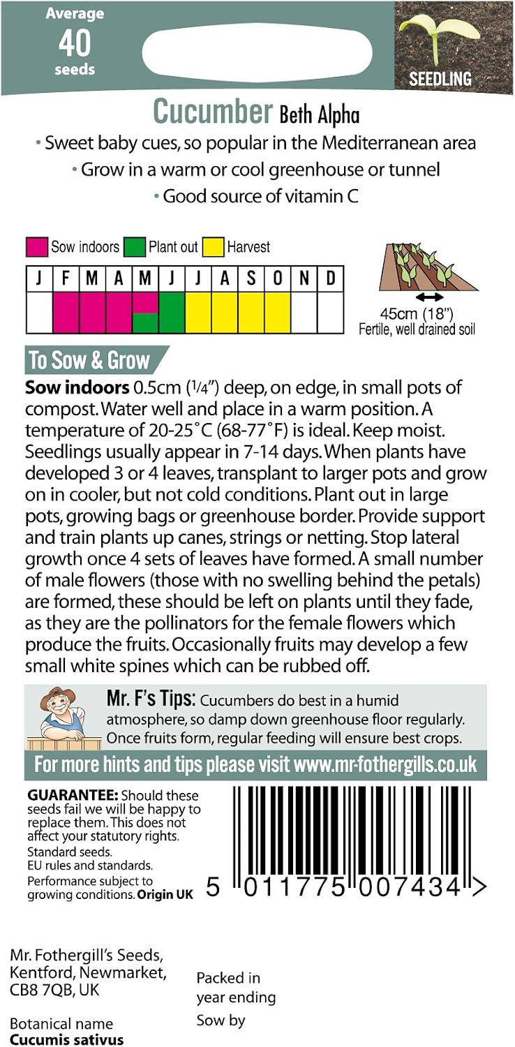 Mr Fothergill's 22124 Vegetable Seeds, Cucumber Beth Alpha, Green - Image 3