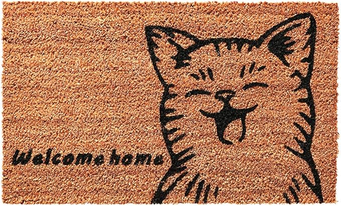 HDL Bienvenido Coco Felpudo,Dibujos Animados Divertido Antideslizante