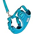 RC Pets Adventure Kitty Harness Includes Adjustable, Airmesh Fabric, 6' Leash and D-Ring Cat Walking Harness | Teal, Medium