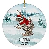 Santa Hat and Scarf Welcome Winter Gray Tree Frog