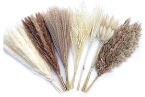 Eibeebay 77 PCS Boho Pampas Grass Decor Reed Grass Dried Flowers and Bunny Tails Dried Flowers Natural Dried Pampas Grass Bouquet Pampass Grass for Boho Decor Wedding Home Decoration (7 Styles)