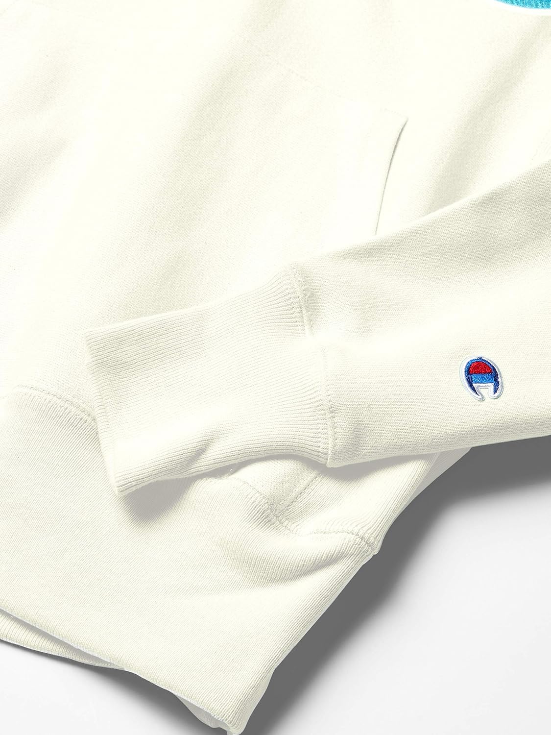 Champion LIFE Men's Reverse Weave Po Hood: Clothing
