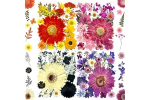 MIKIYA 106Pcs Big Dried Pressed Flowers for Resin, Assorted Real Natural Bulk Dry Floral Leaves for DIY Art Crafts, Epoxy Molds, Jewelry, Soap, Candle Making, Nails Decors