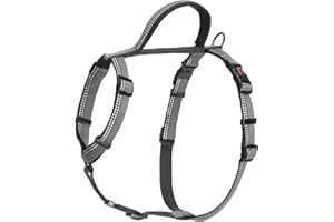 COMPANY OF ANIMALS HALTI Walking Harness - Lightweight Dog Harness with Handle, Reflective & Adjustable, Ideal for Puppy Walks, Suitable for Small Dogs and Puppies (Size S, Black)