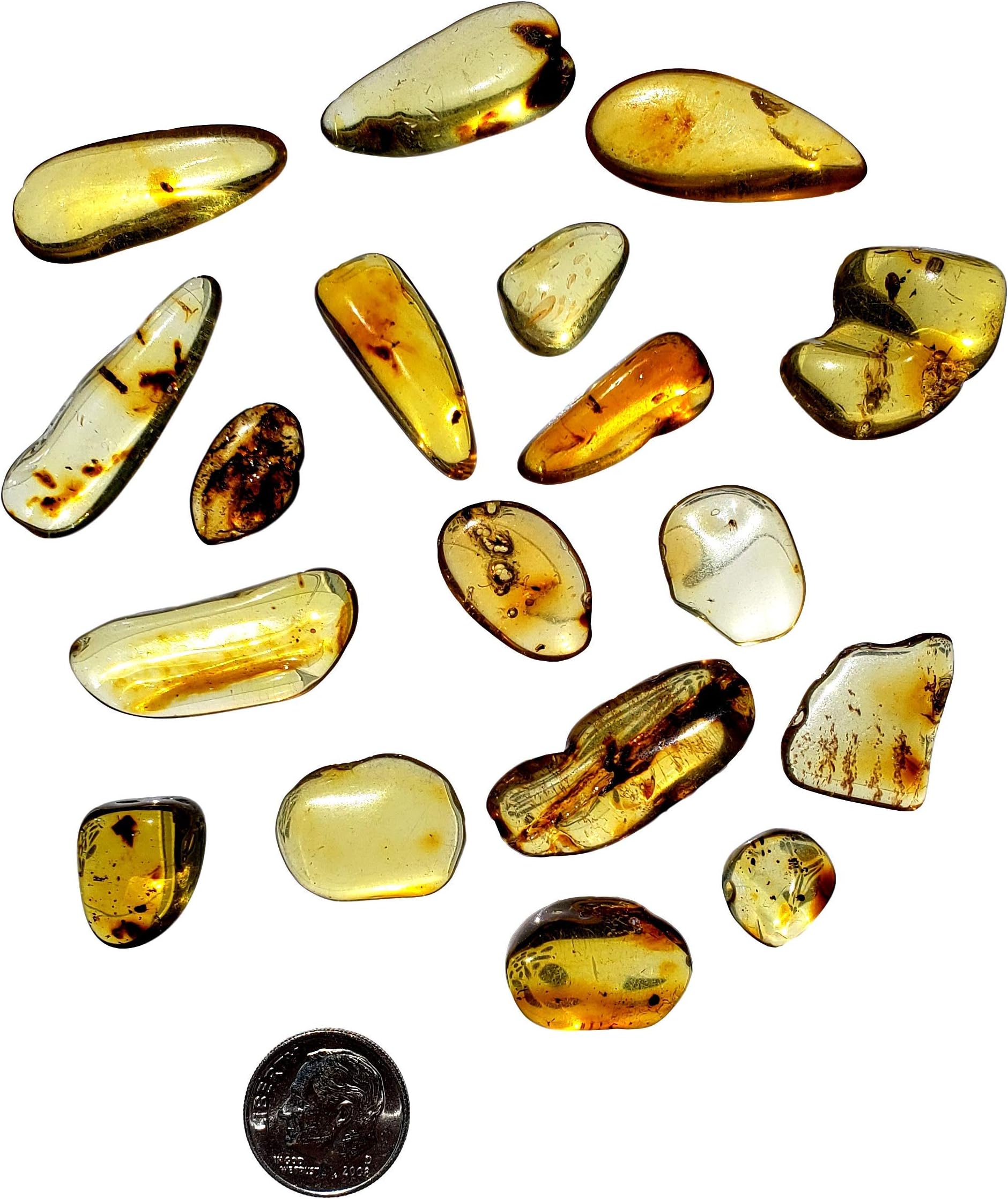 DINOSAURS ROCK Genuine Colombian Amber Fossil Specimen - Naturally Formed - May Contain Inclusions - Great Collectible (Small)