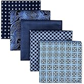 SHLAX&WING Assorted 5 Pieces Mens Silk Pocket Squares Handkerchiefs Set Lot