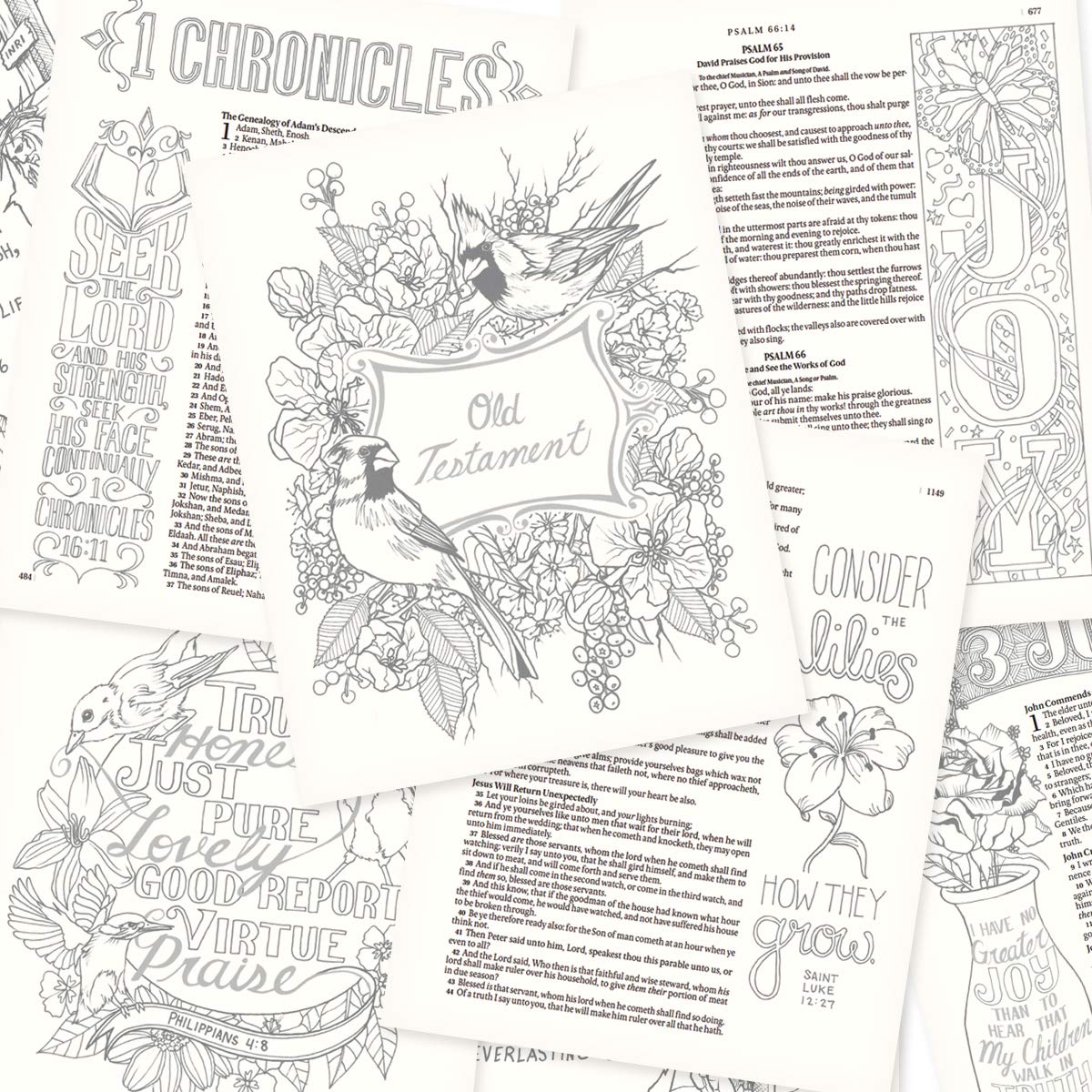 KJV Holy Bible, My Creative Bible, Faux Leather Flexcover - Ribbon Marker, King James Version, Pink Floral (KJV Creative Editions) KJV Holy Bible, My Creative Bible, Faux Leather Flexcover - Ribbon Marker, King James Version, Pink Floral (KJV Creative Editions) Imitation Leather