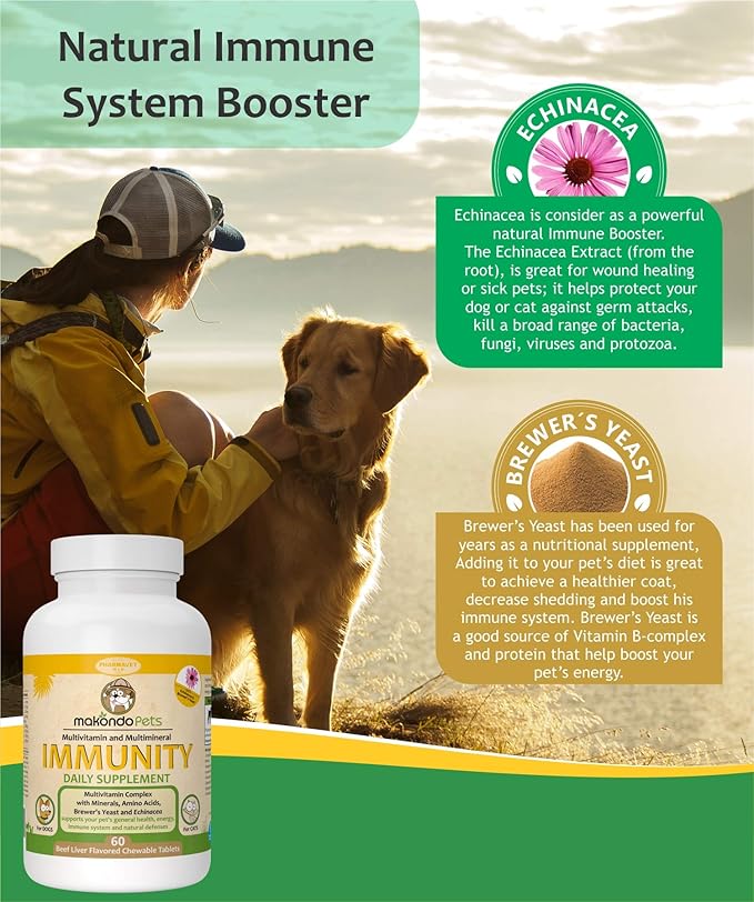 dog immune system booster
