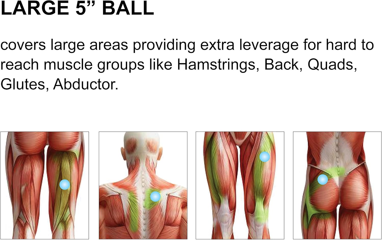 Massage Ball - 3 Set - Deep Tissue Massage Therapy, Myofascial Release, Trigger Point Massager - Muscle Pain Relief, Muscle Knots Foam Ball, Self Massage Physical Therapy Ball (GREEN/WHITE): Sports & Outdoors