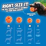 Chuckit Air Fetch Ball Medium 6.5 cm Pack of 2 Durable Rubber Dog Toy view 5