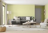 Dulux Simply Refresh Melon Sorbet Matte Emulsion Paint 30 ml Tester view 5