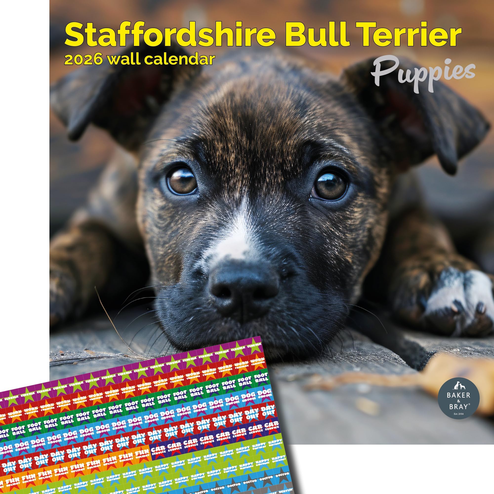 Baker and Bray Staffordshire Bull Terrier Puppies Calendar 2026, Large Square Wall Calendar With Organisational Stickers, 16 Month, Staffordshire Bull Terrier Puppies Gift Dog Calendar