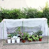 PALUDO 2 x 6m Heavy Duty Polythene Sheeting 0.3mm Clear Waterproof view 4