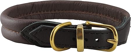 amazon rolled leather dog collar