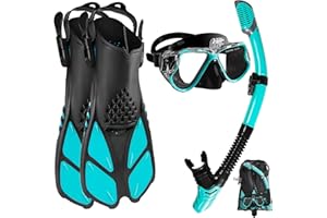 Snorkel Set with Fins for Adults, 180 Panoramic Diving with Camera Mount, Dry Top Snorkel and Dive Flippers Combo with Travel