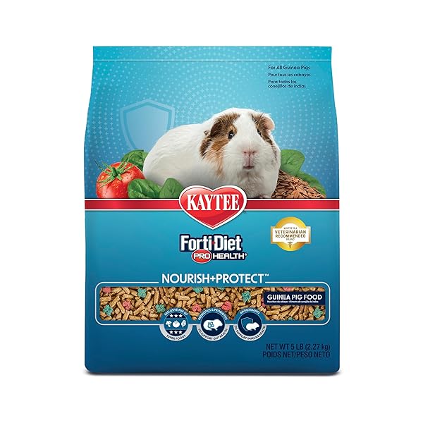 KAYTEE FORTI-DIET PRO HEALTH NOURISH+PROTECT GUINEA PIG FOOD,...