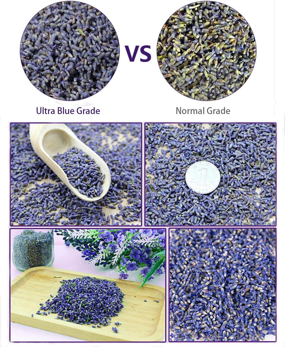 TooGet Lavender Sachet Bags - Natural Ultra Blue Lavender Buds for Home Fragrance and Room Decorations - Pack of 6 - Image 4