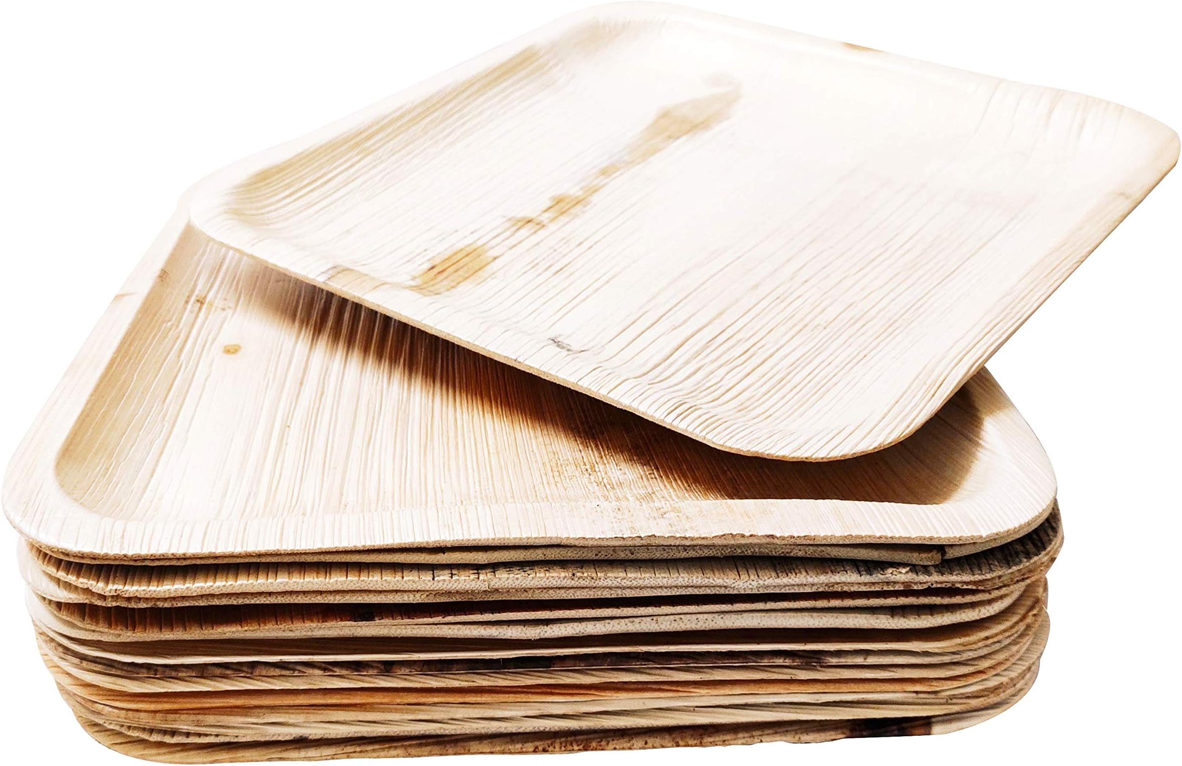 Palmbite 10" Areca Shallow Square Plates 25pc (10" Square Plate)
