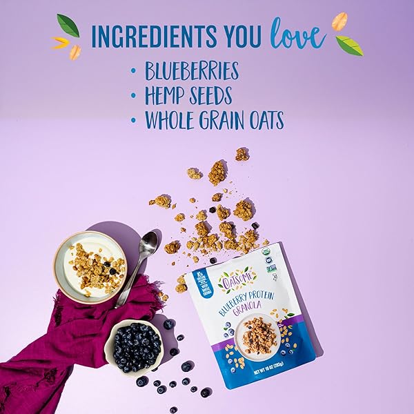 OATSOME BLUEBERRY PROTEIN GRANOLA, 10G PROTEIN, GLUTEN FREE, MADE WITH WHOLE GRAIN ORGANIC OATS, REAL BLUEBERRIES, & HEMP SEEDS, FOR PROTEIN SNACKS CEREALS BREAKFAST YOGURT, 10 OZ BAG