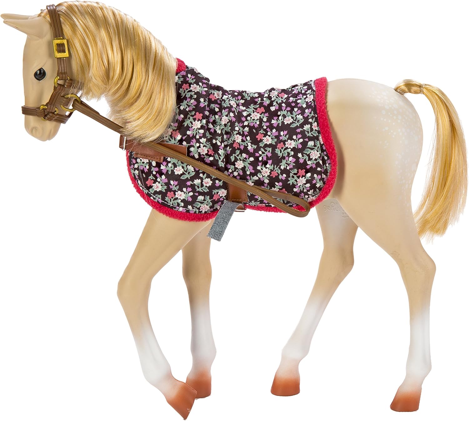 our generation palomino