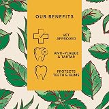Pooch & Mutt Superfood Dog Dental Sticks Small Pack of 7 Spirulina Mint view 7