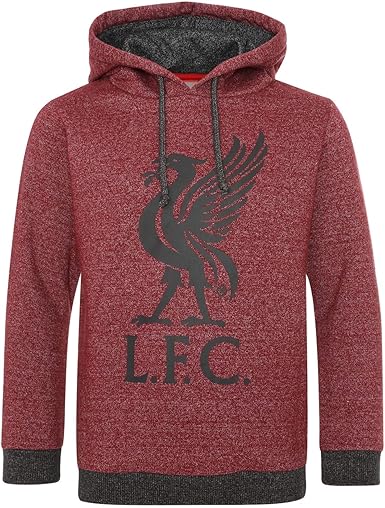 Liverpool fc hoodie junior Clearance