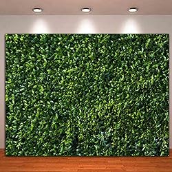 10x8FT Soft Fabric/Polyester Nature Spring Green
