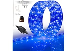 WYZworks 288LEDs, 25ft LED Outside Rope Lights, Waterproof Permanent Outdoor ETL Certified Connectable Clear Tube, Christmas Palm Tree Holiday Decorative Landscape Patio Accent Lighting - Blue