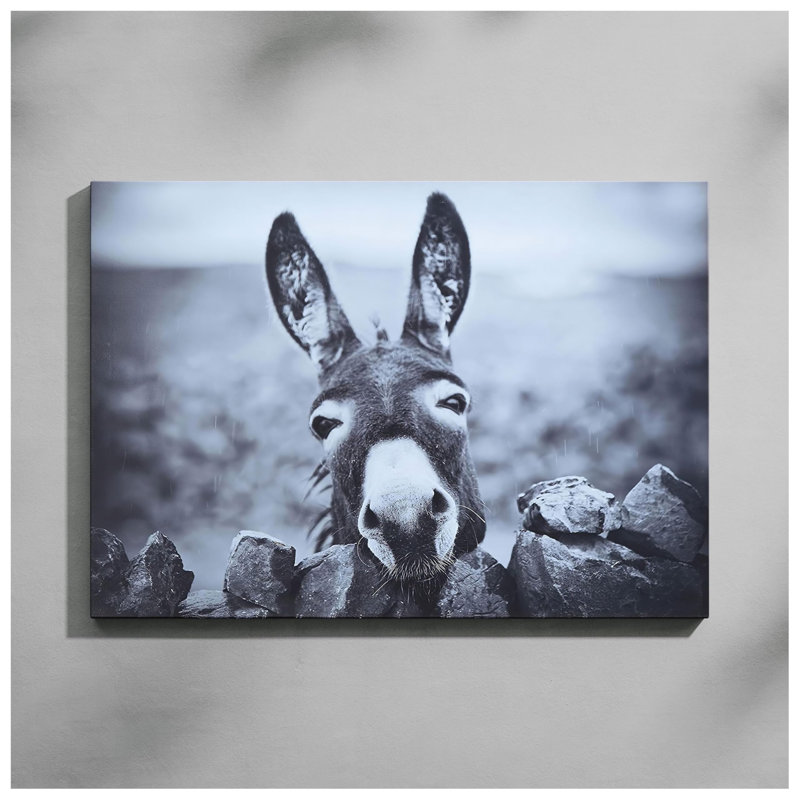Photo 1 of HSFFBHFBH Charming Black and White Donkey Canvas Wall Art | Funny Farm Animal Print for Rustic Home Decor Artwork | Waterproof Bathroom Picture Decor | Ready to Hang 12x16inch