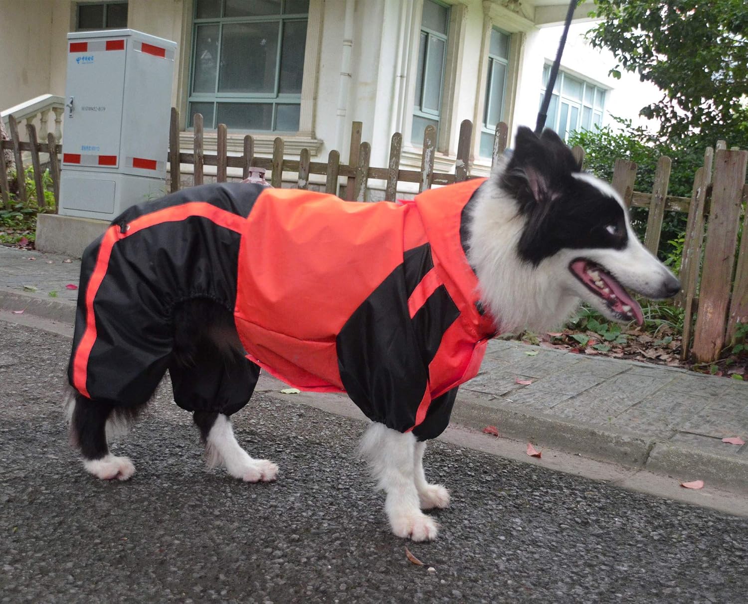 Lovelonglong Border Collie Dog Hooded Raincoat, Collie Rain Jacket