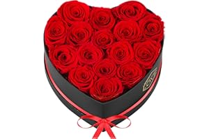 POMINEL Valentines Day Gift for Her Red 16Pcs Eternal Preserved Roses Flowers in Heart Shape Box Anniversary Birthday Gifts for Mom Women