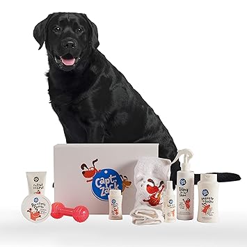 Captain Zack - The Labrador Groom Box Ultimate 8-in-1, Head-to-Paw Groom-Kit for Your Dog - (Shampoo +Conditioner +Dry Shampoo +Paw Butter +Toy)