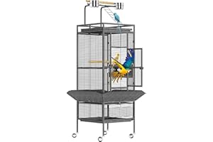 61 Inch Large Metal Bird Cage with Play Top, Rolling Stand, Feed Bowls & Spacious Design for Parrots, Cockatiels, Conures, Co