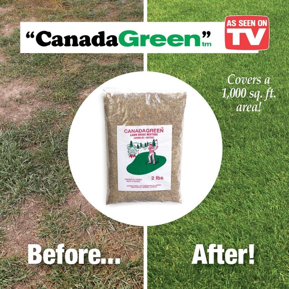 Canada Green Grass Lawn Seed 2 Pound Bag Grass Plants